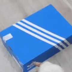 Adidas Ultraboost - AAA+ Estilo Urbano Elegante